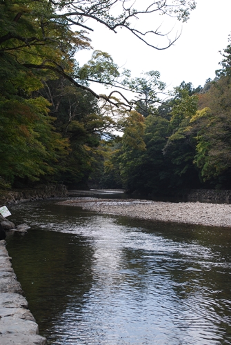 a0133886_19362696.jpg