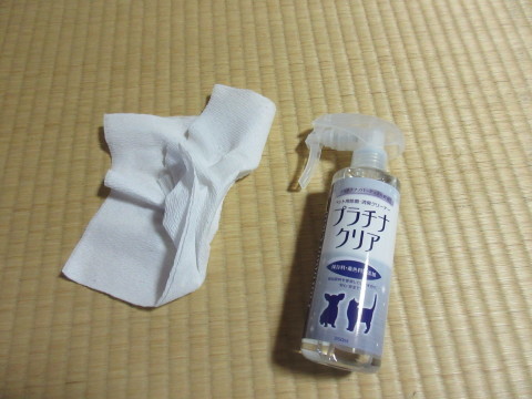 c0310987_19025660.jpg