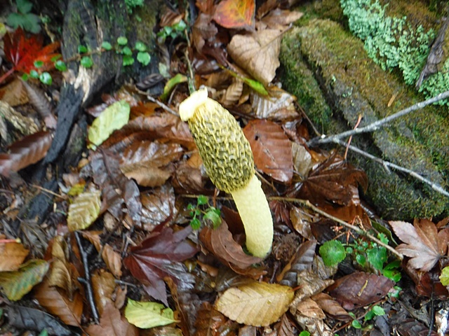 f0357487_21231277.jpg