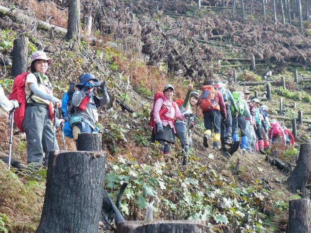 f0357487_216056.jpg