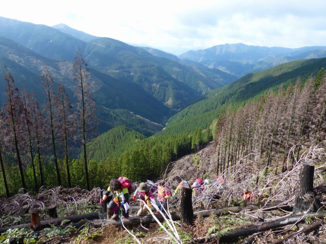 f0357487_2165536.jpg