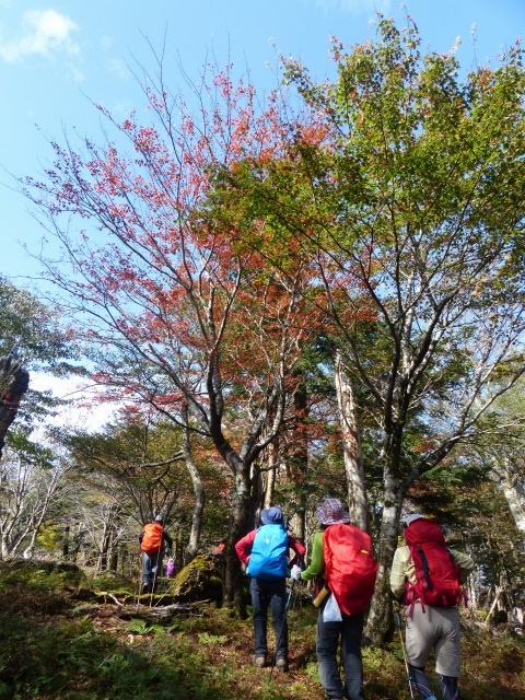 f0357487_23114531.jpg