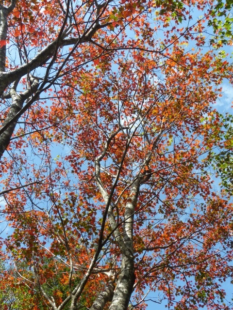f0357487_23121429.jpg