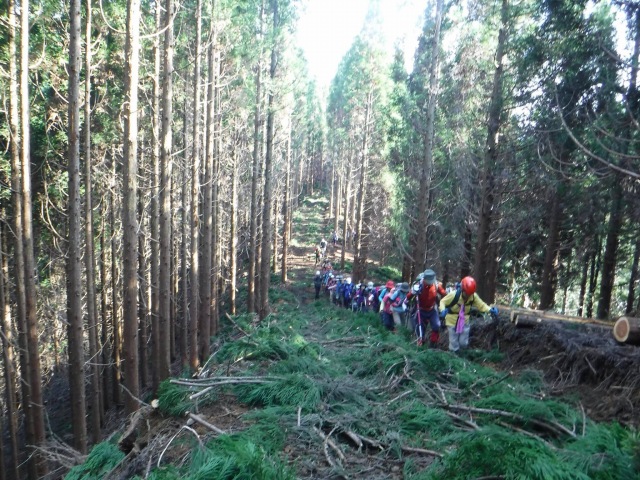 f0357487_2323139.jpg