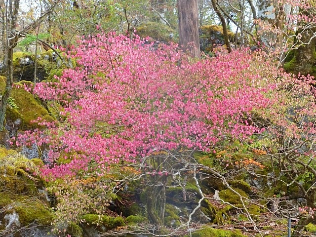 f0357487_2341633.jpg