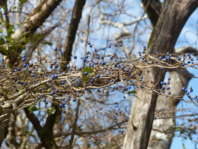 f0357487_2355839.jpg