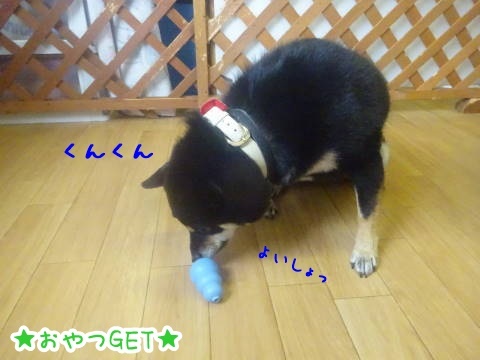 a0338800_08485415.jpg