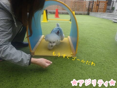 a0338800_08503156.jpg
