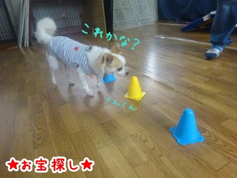a0338800_08521024.jpg