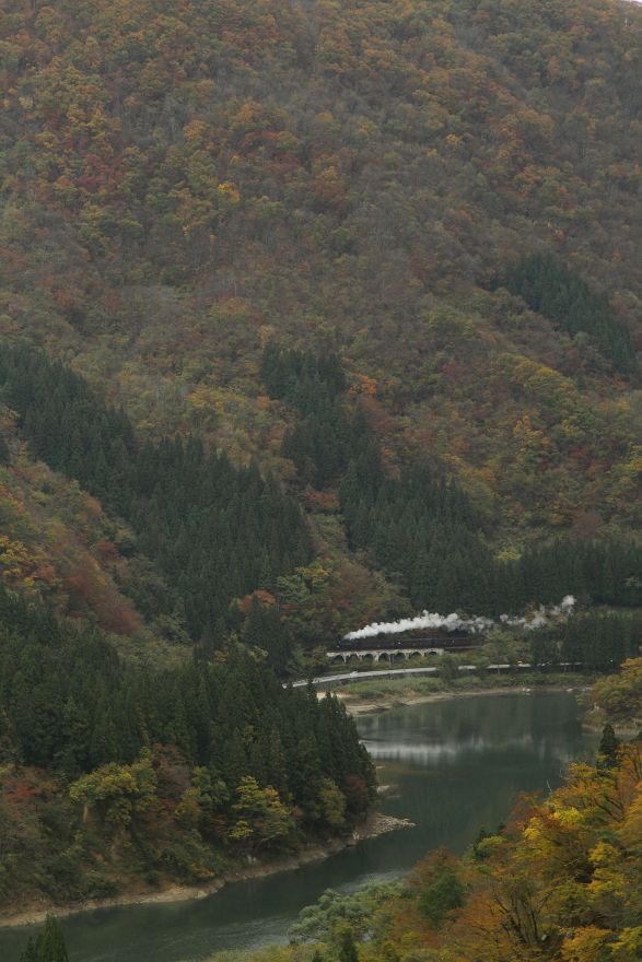 b0190710_23263510.jpg
