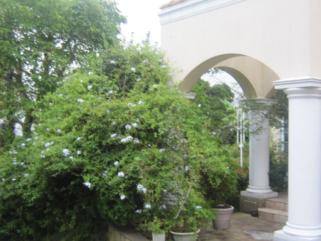 d0162225_2382391.jpg