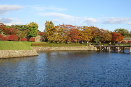 e0133025_22151576.jpg