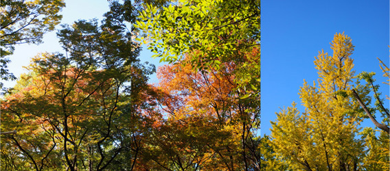 c0188928_17005399.jpg