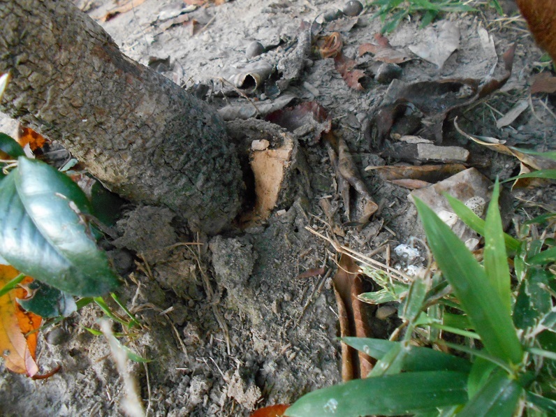 f0088731_01152839.jpg