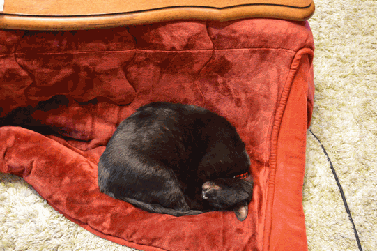 c0136736_19383532.gif