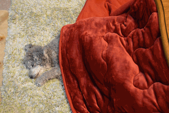 c0136736_19384266.gif
