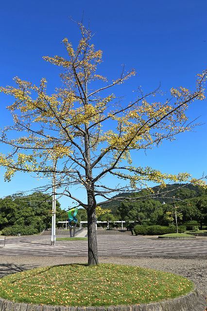 a0242438_21082278.jpg