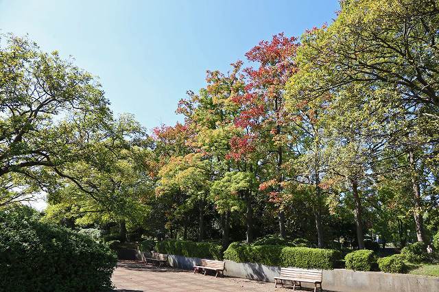 a0242438_21083235.jpg