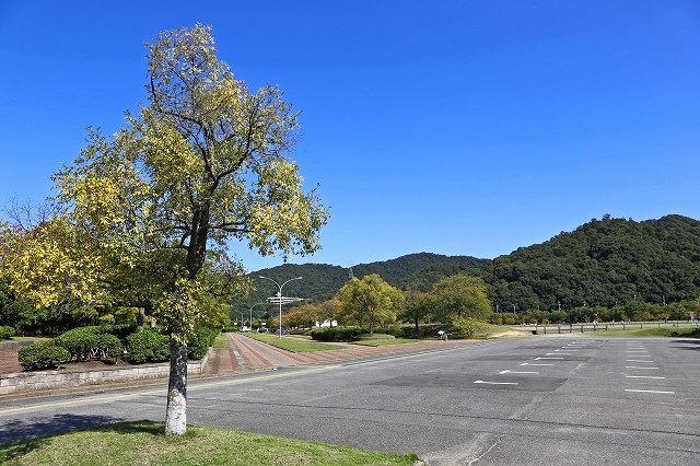 a0242438_21083540.jpg