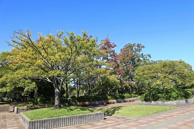 a0242438_21101637.jpg