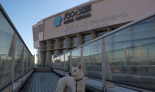 a0117039_2256777.jpg