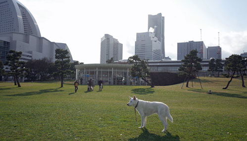 a0117039_2259511.jpg