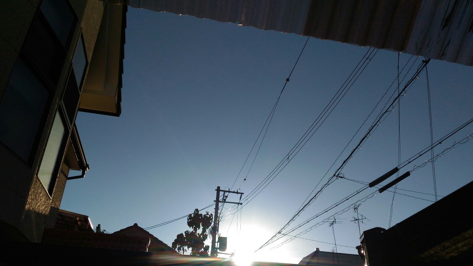 d0343540_17351613.jpg