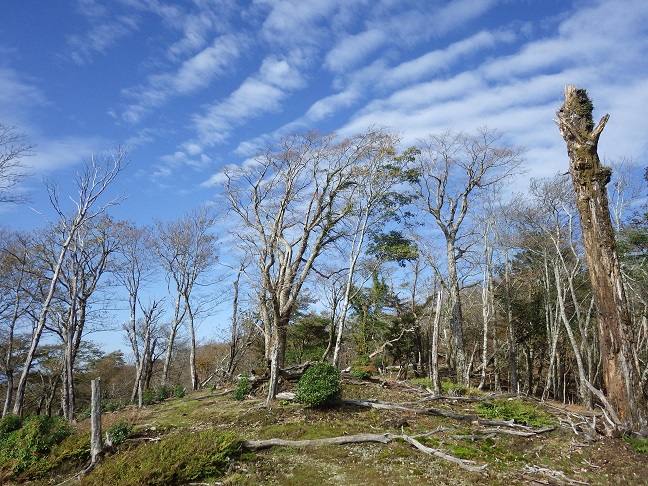 e0164643_16425869.jpg