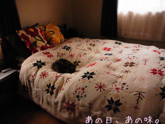 a0305046_11104124.jpg