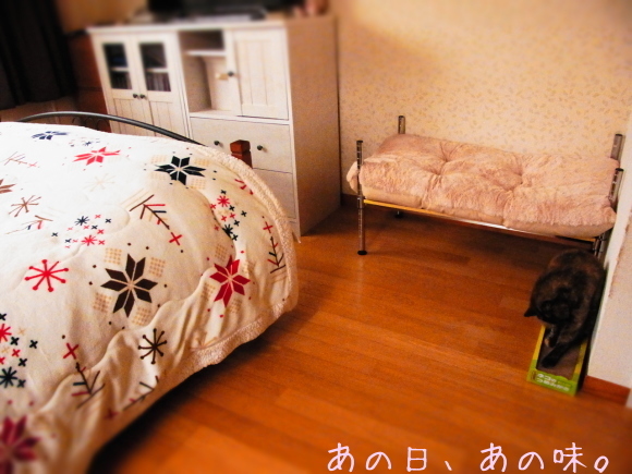 a0305046_11114748.jpg