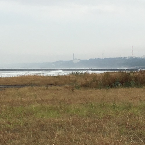 a0314846_9514845.jpg