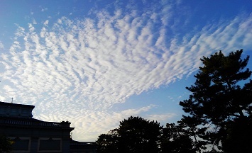 b0225561_14133061.jpg
