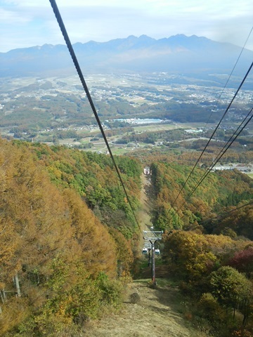 f0100871_13390035.jpg