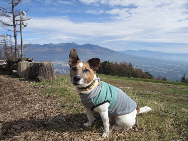 f0100871_13452910.jpg