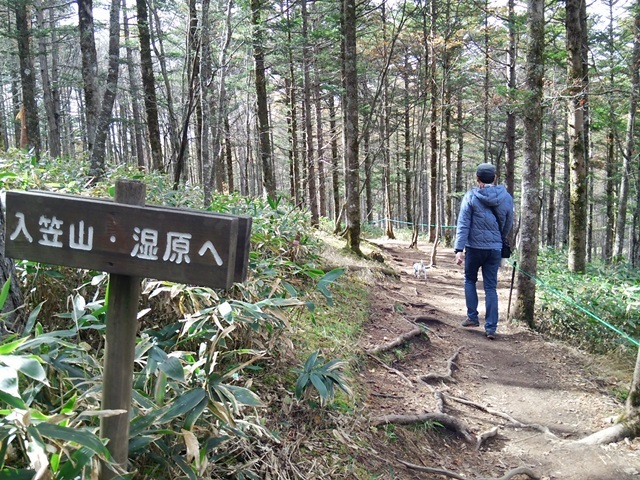 f0100871_13454586.jpg