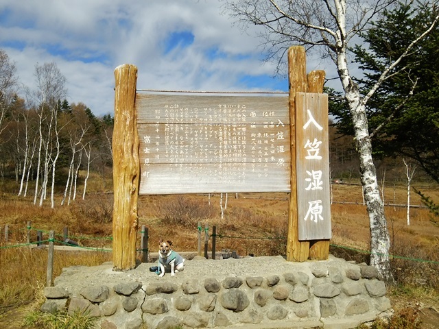 f0100871_13473797.jpg