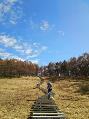f0100871_20102596.jpg