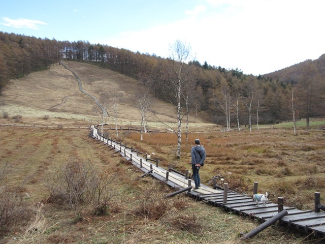 f0100871_20103950.jpg