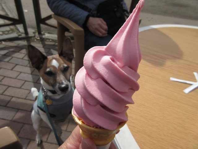 f0100871_20105981.jpg