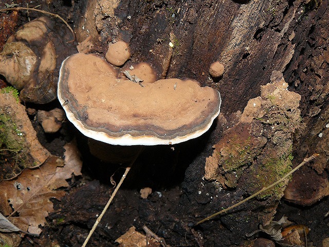 d0019074_823925.jpg