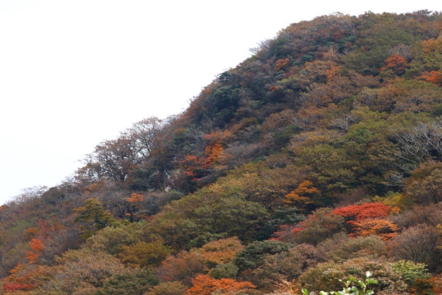 d0126577_19345491.jpg