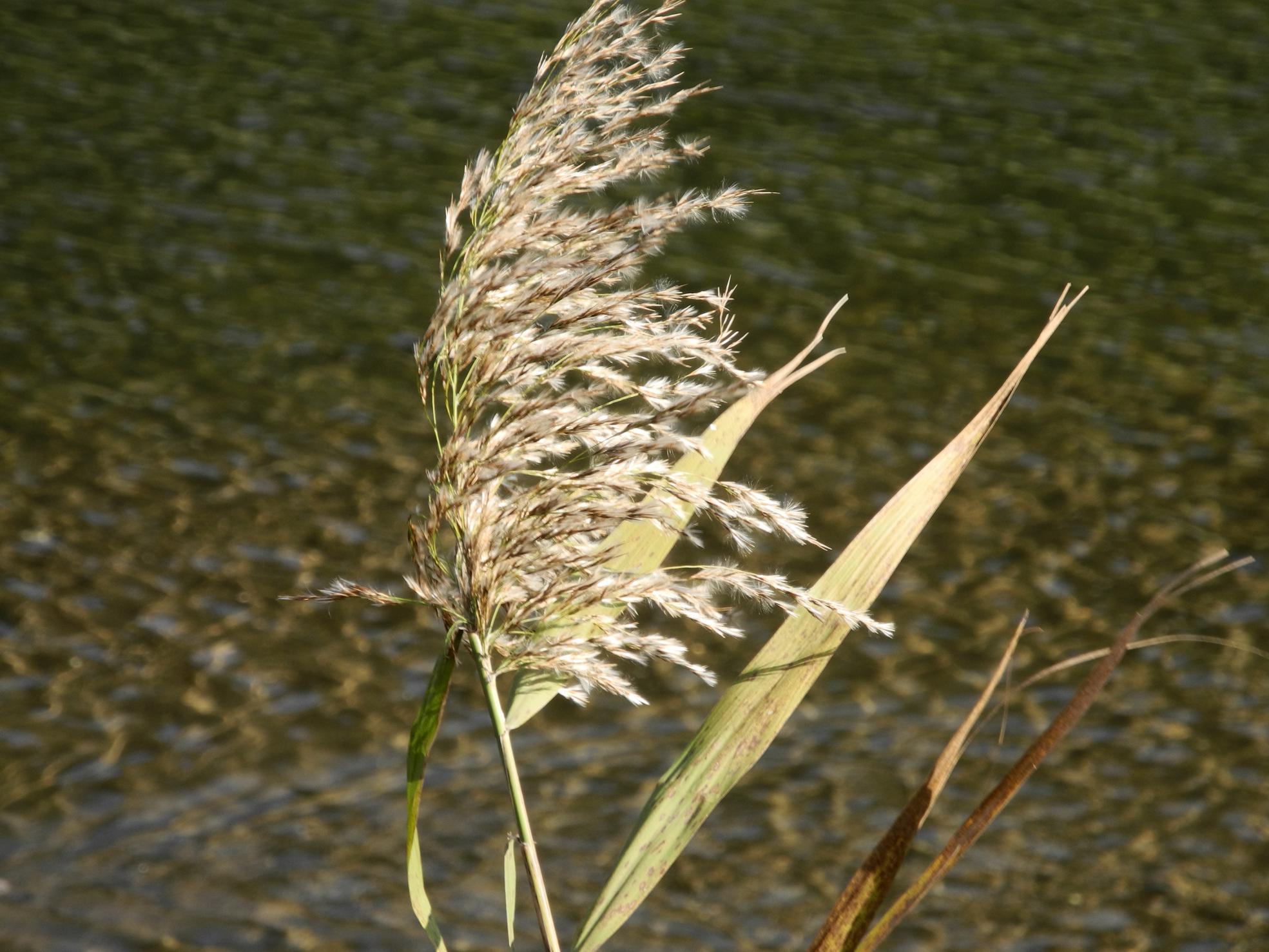 f0377679_22014283.jpg