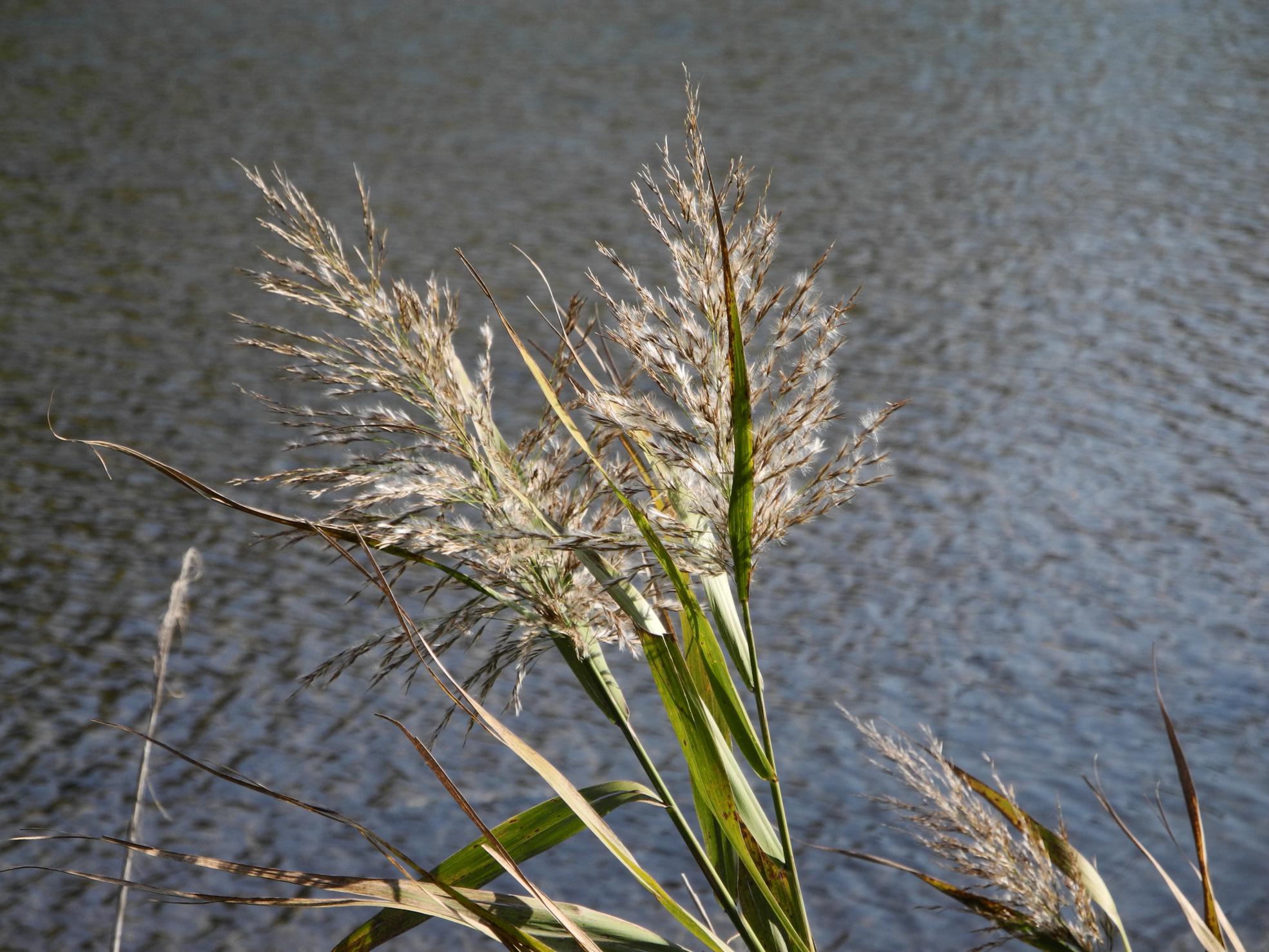f0377679_22020348.jpg