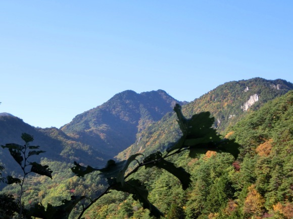 a0186689_16230989.jpg