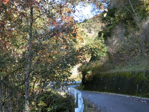 a0186689_16494734.jpg