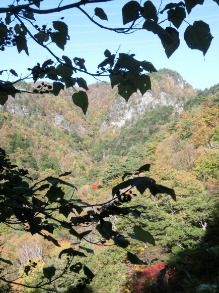 a0186689_16501713.jpg