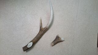 c0337990_14094615.jpg