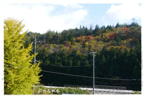 f0353990_20410452.jpg