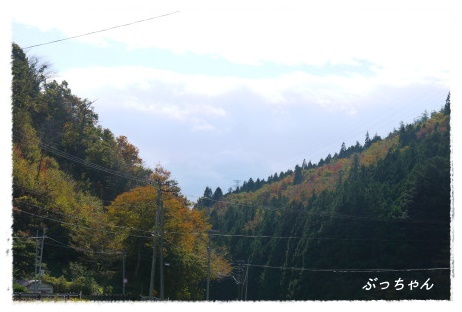 f0353990_20411965.jpg