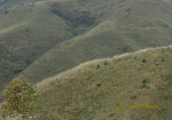 d0239891_06383388.jpg